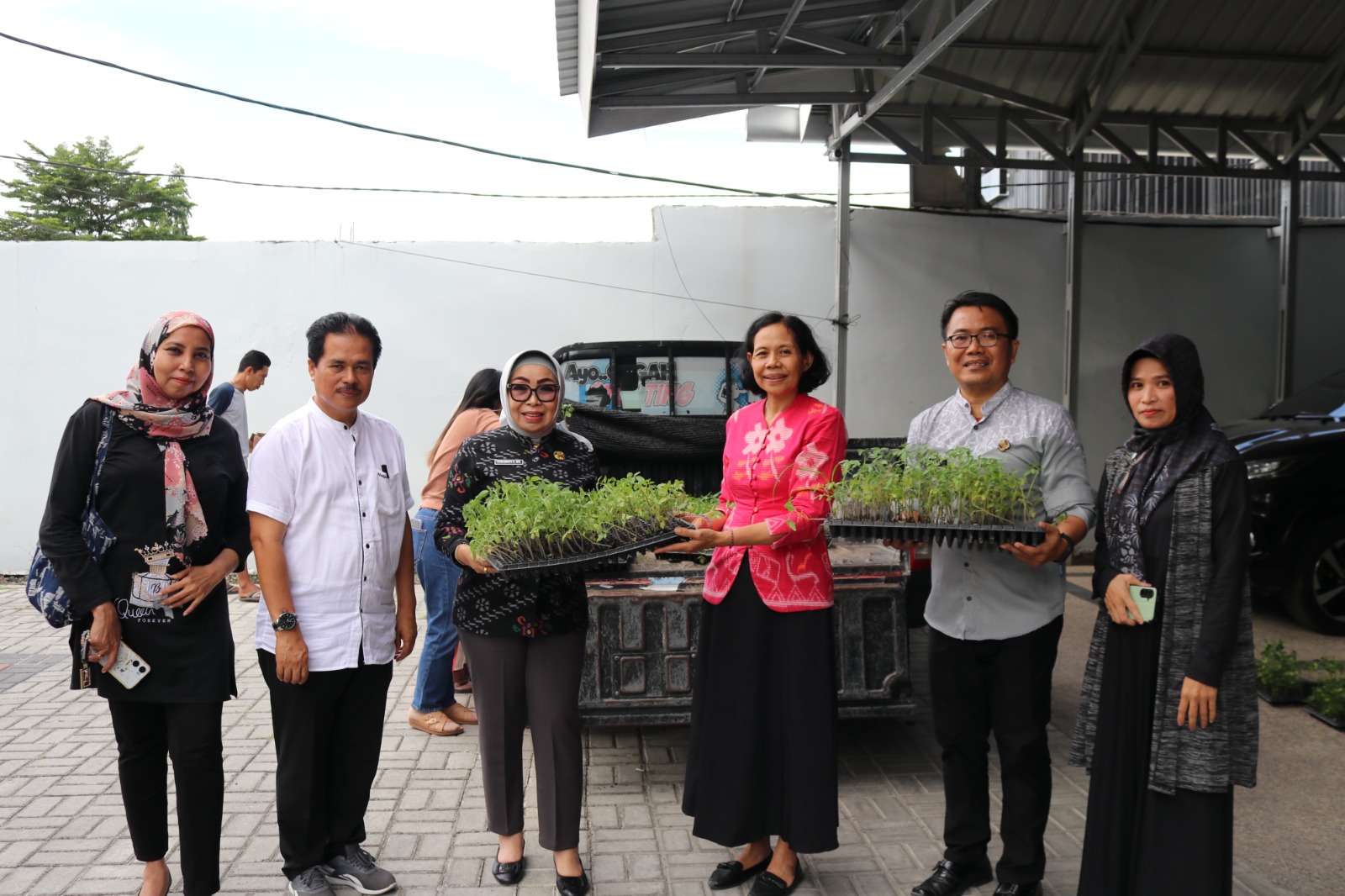 KADIS P3A SERAHKAN BANTUAN GRATIS BIBIR CABAI DAN TOMAT KE SELURUH PEGAWAI.